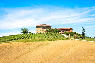 ASTI, ITALY - CIRCA AUGUST 2020: Piedmont hills in Italy, Monferrato area. Scenic countryside during summer season with vineyard field. Wonderful blue sky in background