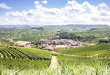 Panoramic countryside in Piedmont region, Italy. Scenic vineyard hill with the famous Barolo Castle and city