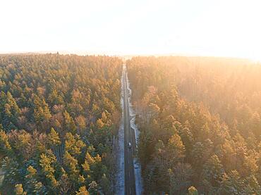 Road through forest to Klinikum Nordschwarzwald at sunrise, Calw, Black Forest, Germany, Europe