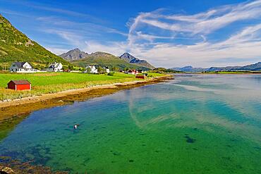 Green transparent clear water of a calm shallow fjord, Summer, Leknes, Nordland, Lofoten, Norway, Europe