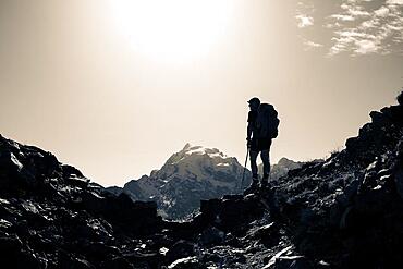 Mountaineers in the backlight in front of the Ortler summit massif, Trafoier Tal, Merano, Vinschgau, South Tyrol, Italy, Europe