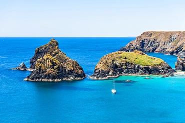 Kynance Cove and Asparagus Island, Cornwall, England, United Kingdom, Europe