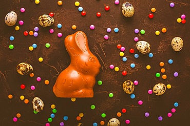 Delicious chocolate easter eggs, bunny and sweets on dark brown background