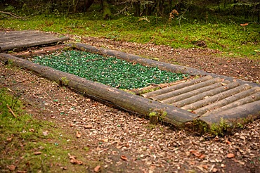 Barefoot Park in the Forest, Schoemberg, Black Forest, Germany, Europe