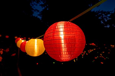 Colourful lanterns in the dark for the Festival of Lights, Black Forest, Bad Wildbad, Germany, Europe