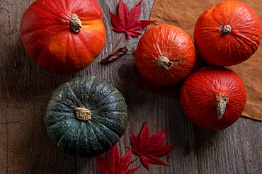 Fruit, Autumn, Pumpkin, Sweet, Delicious, Cooking, Foliage, Wooden table, Healthy, Fit