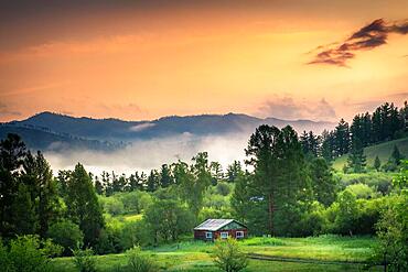 Summer morning on the banks of the Selenge River. Bulgan Province, Mongolia, Asia