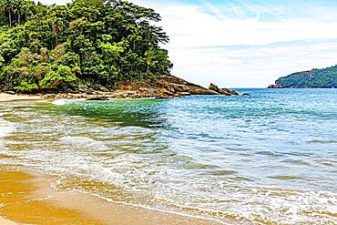 Dense vegetation of the tropical forest by the sea of transparent waters in Trindade on the south coast of Rio de Janeiro, Brasil