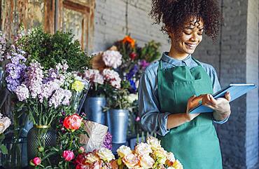 Young black woman wearing beige apron on flower shop background with copy space. Portrait of successful african american woman looking at tablet computer