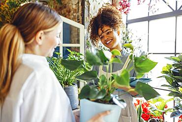 Happy black woman entrepreneur standing in plant store selling fresh flowers to client. Young blond girl buy a fresh bouquet from florist. Smiling african woman botanist, selling flowers