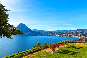 Bench and Branch and Lake Lugano and City with Mountain and Blue Sky in Park San Michele in Castagnola in Lugano, Ticino in Switzerland