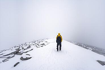 Climbers in the snow, Fjell, barren landscape, hike to Mount Snohetta, Dovrefjell National Park, Oppdal, Norway, Europe