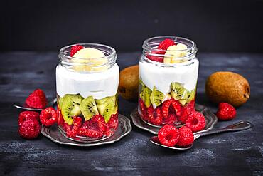 Healthy fruit snack with raw raspberry and kiwis and yoghurt layered in glass on dark background