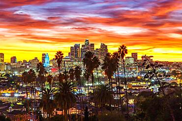 View of Downtown Los Angeles Skyline with Palm Trees at Sunset in California in Los Angeles, USA, North America