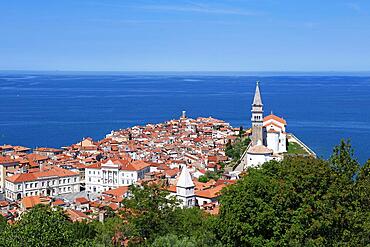 View of the old town from the city walls, Church of St. George, Piran, Slovenia, Europe