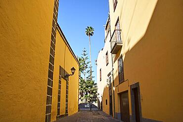 Old town alley, yellow houses, palm tree, cloudless blue sky, old town, Vegueta, Las Palmas, capital, Gran Canaria, Canary Islands, Spain, Europe