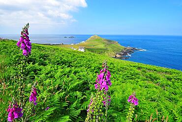 Cape Cornwall, Great Britain
