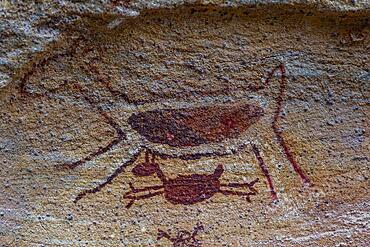 Rock art painting at Pedra Furada, Unesco site Serra da Capivara National Park, Piaui, Brazil, South America