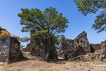 Ruins of Fort James, Unesco site Kunta Kinteh or James island, Western slave trade, Gambia, Africa