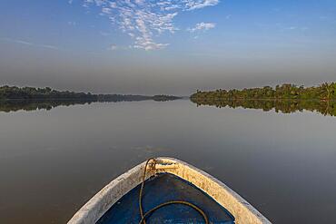 Morning light at the River Gambia National Park, Gambia, Africa