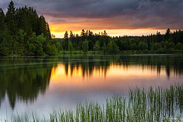 The lake Windgfaellweiher at sunset with coloured clouds, Upper Black Forest, municipality of Lenzkirch, Baden-Wuerttemberg, Germany, Europe