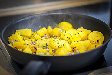 Delicious fried potatoes braise in a pan