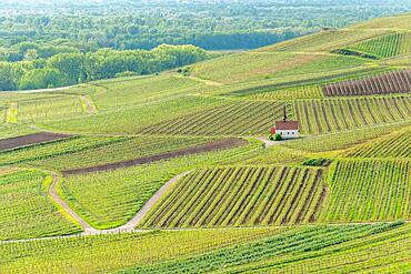 Eichert Chapel in the vineyard in spring. Sasbach am Kaiserstuhl, Emmendingen Baden-Wuerttemberg, Germany, Europe