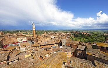 Torre del Mangia and the roofs of Siena, Province of Siena, Tuscany, Italy, Europe