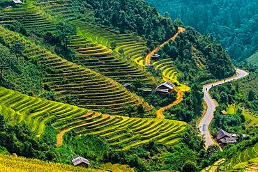 Landscape view of rice fields in Mu Cang Chai District, Yen Bai Province, North Vietnam