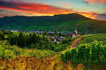 Panoramic view of the Moselle vineyards, Germany. Bruttig-Fankel on the Moselle