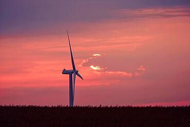 Windmill in a beautiful violet sunset on a rural field in a countryside landscape