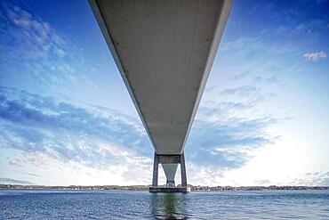 Under a large bridge over the sea in the sunset with a beautiful sky