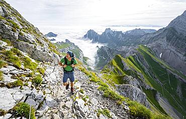 Mountaineers climbing Saentis over the Lisen ridge, Rotsteinpass in the background, high fog in the valley, Saentis, Appenzell Ausserrhoden, Appenzell Alps, Switzerland, Europe