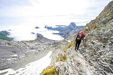 Mountaineer climbing Saentis over the Lisen ridge, mountain peak above the sea of clouds, high fog in the valley, Saentis, Appenzell Ausserrhoden, Appenzell Alps, Switzerland, Europe