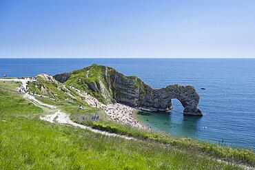 Walk along the chalk coast with the famous rock bridge Durdledoor, West Lulworth, Dorset, England Great Britain