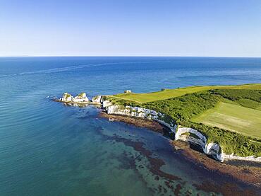 Aerial view of the chalk coast Old Harry Rocks, Jurassic Coast, Isle of Purbeck, Dorset, England, United Kingdom, Europe