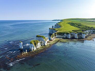 Aerial view of the chalk coast Old Harry Rocks, Jurassic Coast, Isle of Purbeck, Dorset, England, United Kingdom, Europe