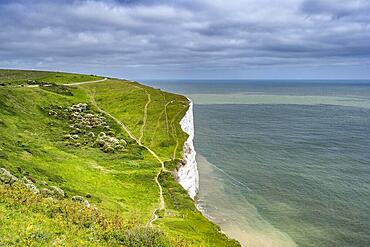 Footpaths along the chalk cliffs of Dover, Kent, English Channel, England, United Kingdom, Europe