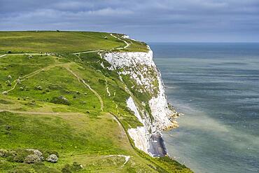 The chalk cliffs of Dover, English Channel, Kent, England, United Kingdom, Europe