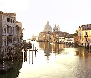 Morning atmosphere on the Grand Canal, Venice, Veneto, Italy, Europe