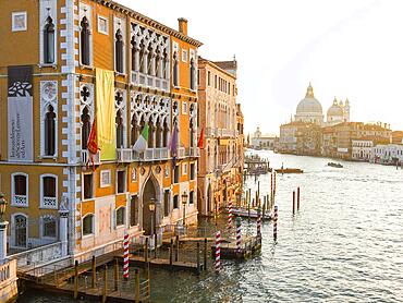 Morning atmosphere on the Grand Canal, Venice, Veneto, Italy, Europe