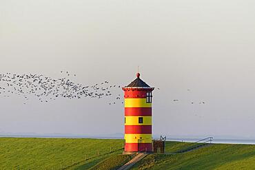 Pilsum lighthouse in the morning light, Pilsum, North Sea, Lower Saxony, Germany, Europe