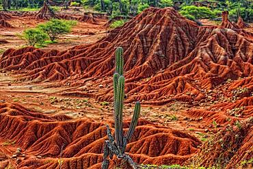 Republic of Colombia, Tatacoa Desert, landscape in the department of Huila, Desierto de la Tatacoa, Tatacoa Desert is a desert of about 330 km² in Colombia, in the northern part of the province of Huila in the valley of the Rio Magdalena, a dry basin at the foot of the Eastern Cordillera, tropical dry forest, playful rock cones, washed-out gorges and rock formations, Colombia, South America