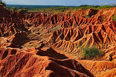 Republic of Colombia, Tatacoa Desert, landscape in the department of Huila, Desierto de la Tatacoa, Tatacoa Desert is a desert of about 330 km² in Colombia, in the northern part of the province of Huila in the valley of the Rio Magdalena, a dry basin at the foot of the Eastern Cordillera, tropical dry forest, playful rock cones, washed-out gorges and rock formations, Colombia, South America