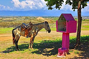 Republic of Colombia, Landscape in the Department of Huila near the Tatacoa Desert, Desierto de la Tatacoa, Mule and wayside shrine, Colombia, South America