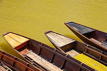 Tips of wooden barges in the water, using the example of punting barges on the banks of the Neckar in Tuebingen, Baden-Wuerttemberg, Germany, symbolic image, Europe