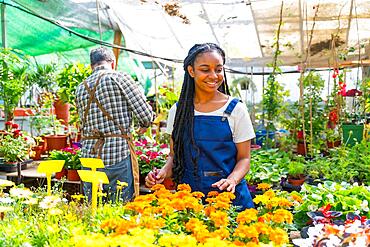 Flower greenhouse nursery gardeners working, smiling agriculture taking care of flowers