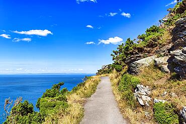 South West Coast Path, coastal path, Valley of the Rocks, rocky coast in Exmoor National Park, Bristol Channel, near Lynton, Devon, England, United Kingdom, Europe