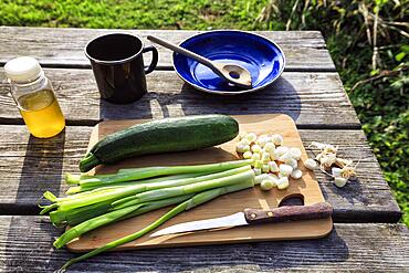 Vegetables on wooden board, spring onions, spring onions, sliced, courgettes, simple camping kitchen, outdoor cooking, camping, outdoors, England, Great Britain