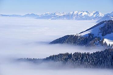 View from Sudelfeld over the sea of fog towards the Berchtesgaden Alps in winter, Sudelfeld, Mangfall Mountains, Upper Bavaria, Germany, Europe